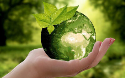 Transforming Our Professions to Make the World More Sustainable !